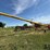 2016-westfield-mkx130-64-image-7