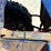 1997-polaris-xpress-300-image-30