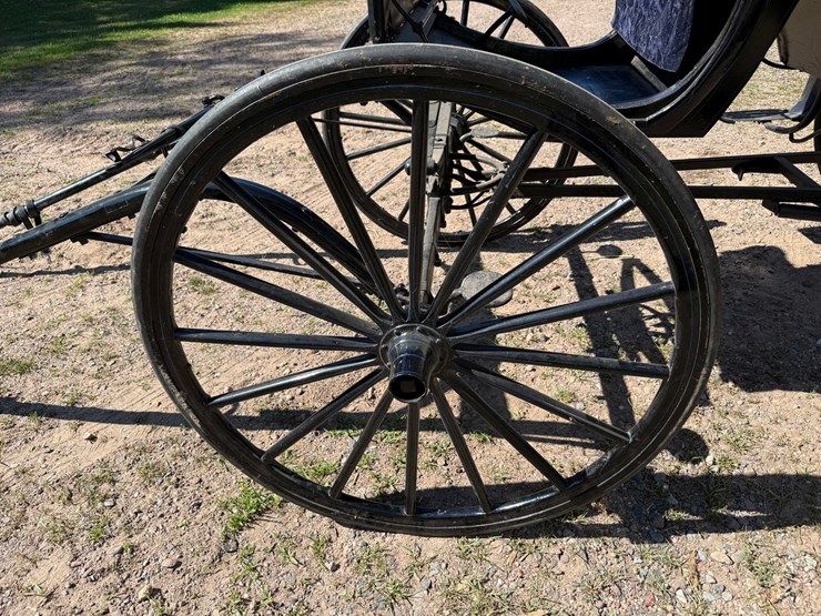 #2494-•-surrey-horse-wagon-image-24