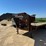 #1888-•-2004-friesen-welding-load-warrior-7-ton-gooseneck-trailer-image-1