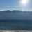 #5009-•-approx-40'-(5)-door-one-trip-shipping-container-image-6