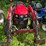 2021-tym-t25h-compact-utility-tractor-w/loader-image-2