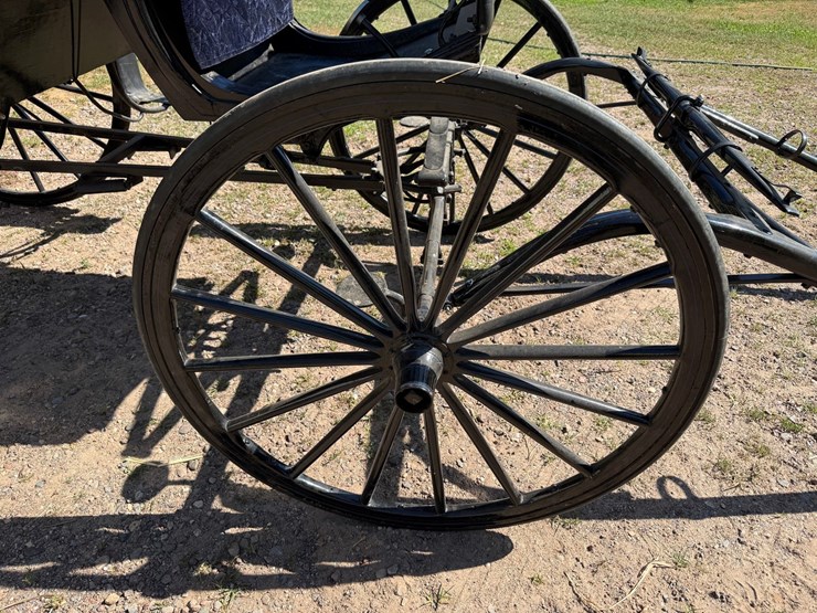 #2494-•-surrey-horse-wagon-image-26