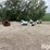 directional-bin-spouts-image-2