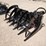 wolverine-lr72-72"-skid-steer-root-rake-image-2