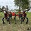 2019-case-ih-2500-image-6
