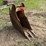 #1768-•-approx-12"-excavator-bucket-image-1