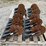 kinze-3200-image-4