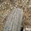 bush-hog-rz60-image-20