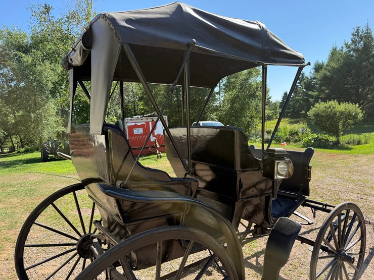 #2494-•-surrey-horse-wagon-image-20