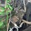 2016-deere-2154d-image-57