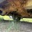 2007-jeep-grand-cherokee-image-22