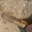 #2276-•-pull-behind-sheepsfoot-roller-image-10