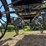 #2494-•-surrey-horse-wagon-image-21
