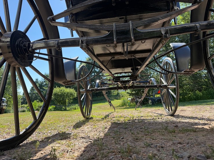 #2494-•-surrey-horse-wagon-image-21