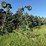 john-deere-737-image-1