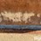 grouser-ag240-image-14