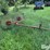 3-pt-hay-inverter-rake-image-3