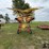 2018-new-holland-procart-1225-image-6