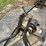 bush-hog-rz60-image-11