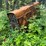#1833-•-lincoln-shield-arc-towable-welder-image-1