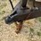 #1536-•-2019-discovery-cargo-trailers-inc.-drse714ta2-7-x-14-enclosed-trailer-image-9