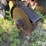 krause-4708-8r30"-no-till-cultivator-image-20