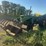 1962-john-deere-4010-image-1