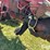 1949-farmall-c-2wd-tractor-w/axle-mount-duals-image-20
