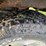 2003-dodge-ram-1500-image-38