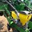 2006-john-deere-1770nt-image-11