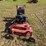 ferris-walk-behind-mower-image-5