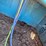 blue-river-42ch-cattle-waterer-image-15