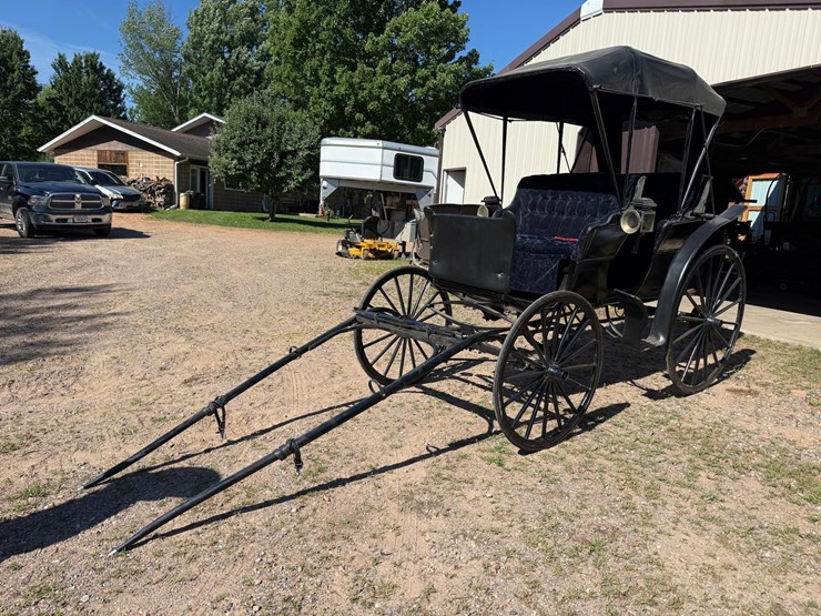 #2494-•-surrey-horse-wagon-image-1