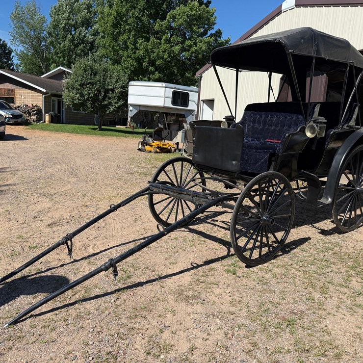 #2494 • Surrey Horse Wagon