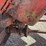 red-portable-pto-driven-feed-grinder-mixer,-steel-construction-image-8