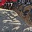 2024-case-ih-ecolo-tiger-875-image-20