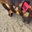 #2289-•-tractor-motor-corp-10098-8'-dozer-mounted-root-rake-image-10