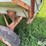 electric-150-bu-dump-wagon-image-14