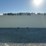 #5008-•-approx-40'-(5)-door-one-trip-shipping-container-image-6