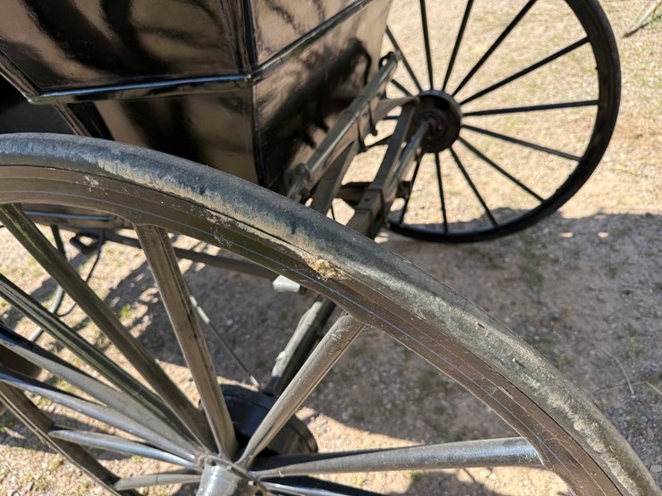 #2494-•-surrey-horse-wagon-image-23