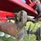 case-ih-490-image-20