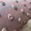 #2276-•-pull-behind-sheepsfoot-roller-image-11