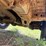 2007-jeep-grand-cherokee-image-28