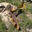 3-pt-blade-image-4