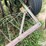john-deere-b-image-16