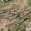 international-150-image-9