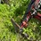 2021-tym-t25h-compact-utility-tractor-w/loader-image-10