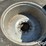 case-ih-20-image-15