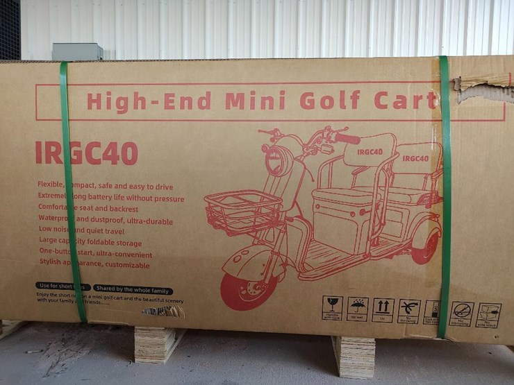 ir-irgc40-high-end-mini-electric-golf-cart,-color-purple-image-1